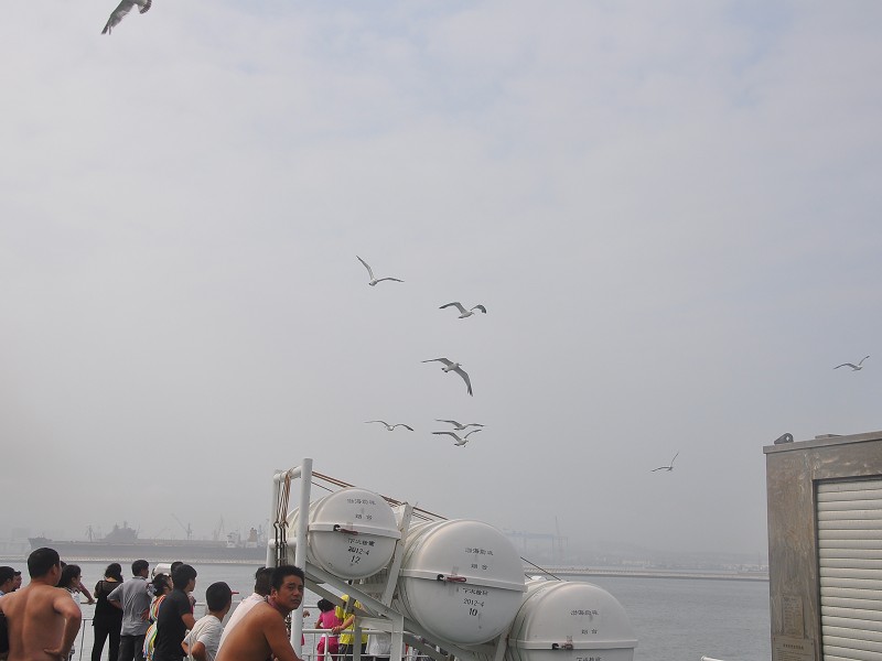 PhotoCap_746.jpg