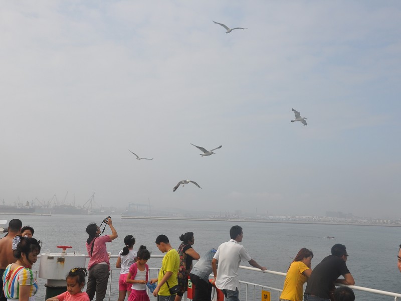 PhotoCap_747.jpg