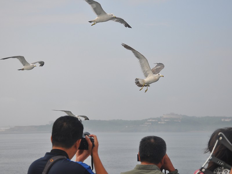 PhotoCap_761.jpg