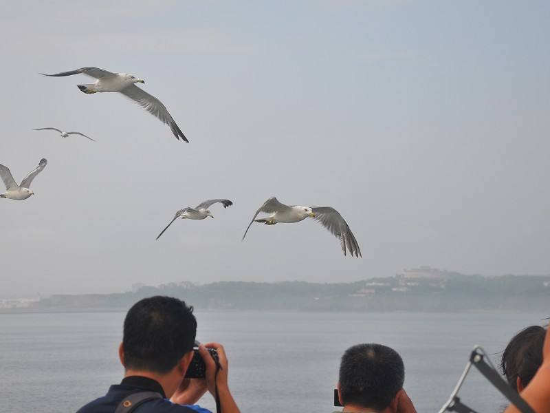 PhotoCap_760.jpg