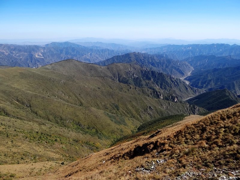 亚高山草甸