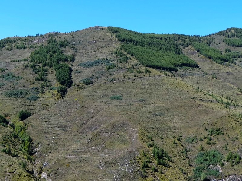途中风景