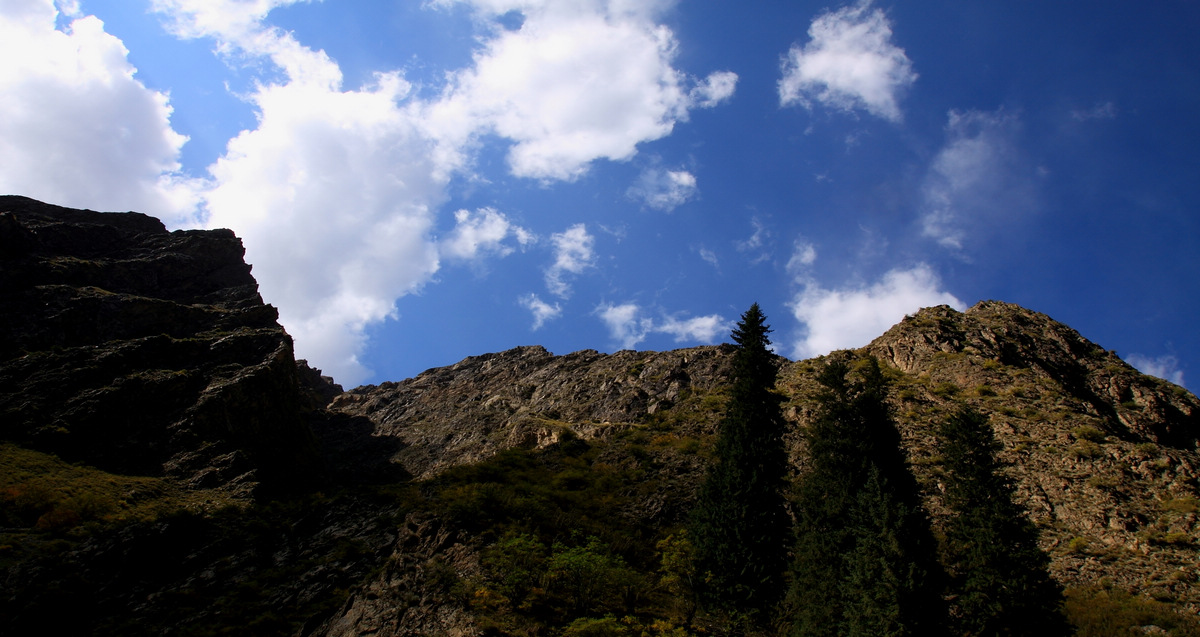 IMG_1228.jpg