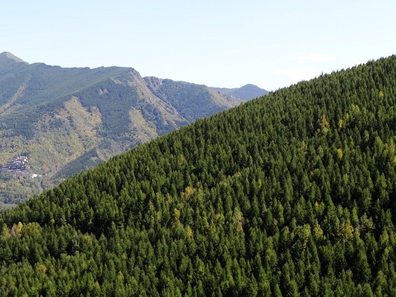 途中风景