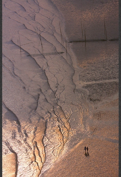 1110030541d562e92eb0477160.jpg