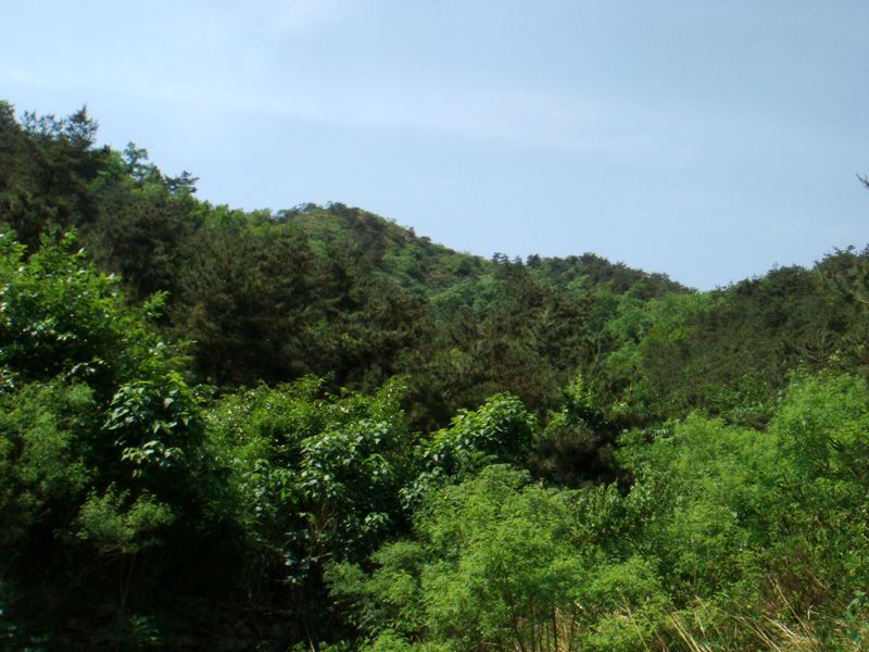 nEO_IMG_DSC03091.jpg