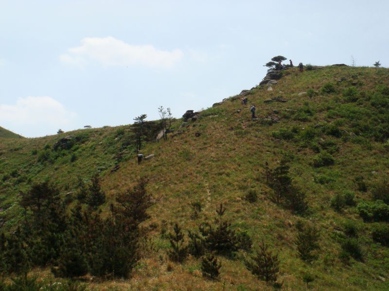 nEO_IMG_DSC03115.jpg