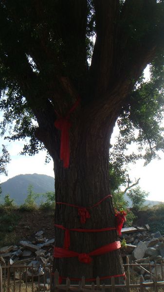nEO_IMG_DSC05718.jpg