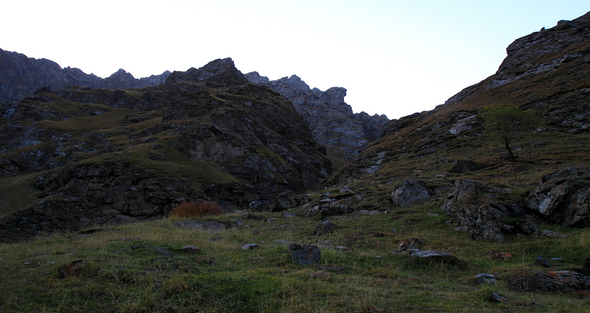 IMG_1271.jpg