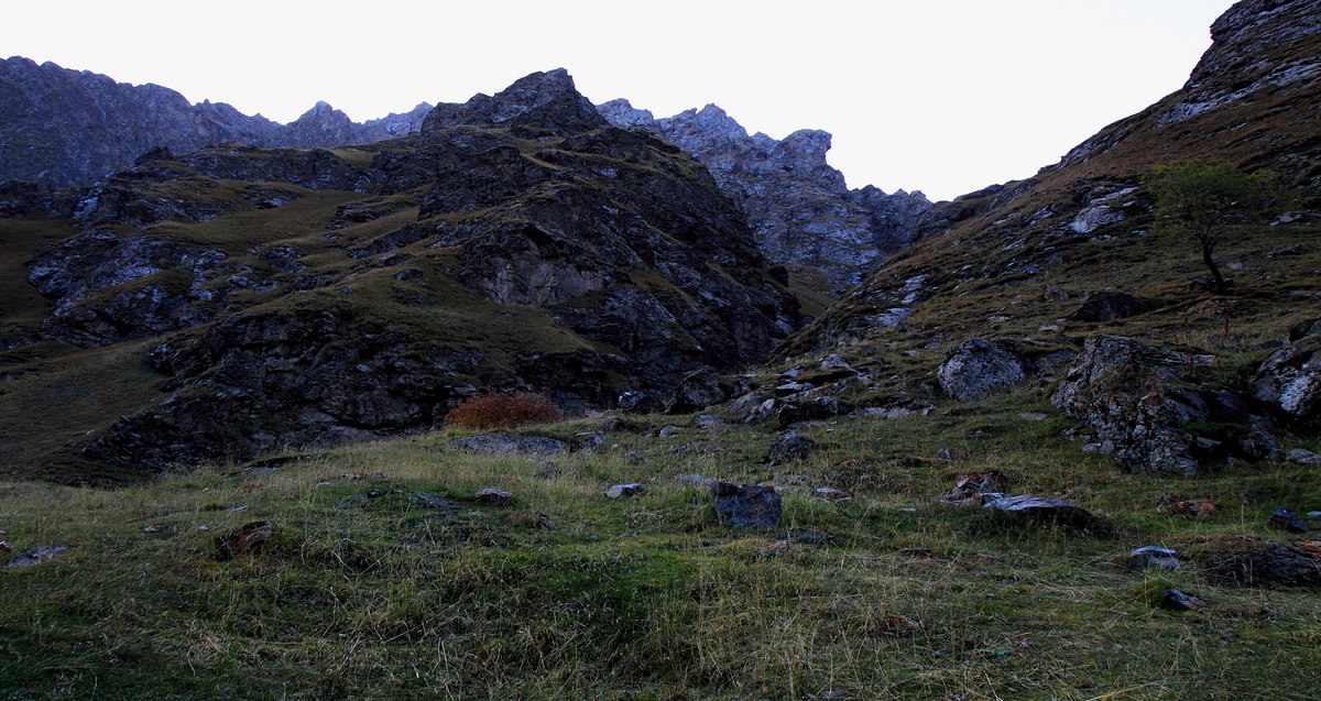IMG_1270.jpg