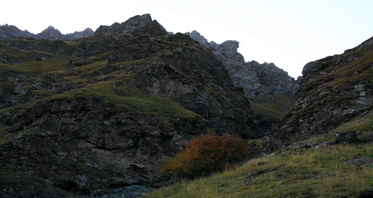 IMG_1273.jpg