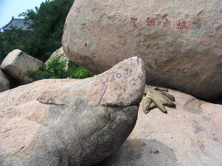 121_3714_缩小大小.JPG