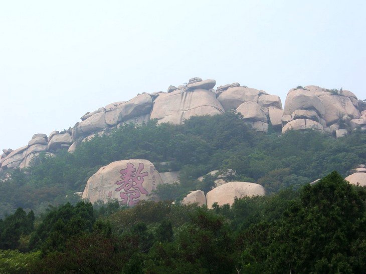 121_3764_缩小大小.JPG