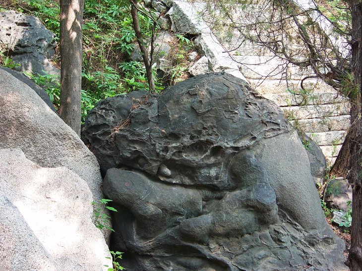 121_3802_缩小大小.JPG