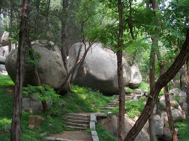 121_3774_缩小大小.JPG