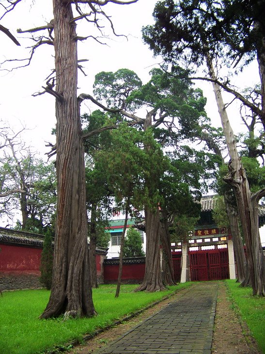 121_3843_缩小大小.JPG