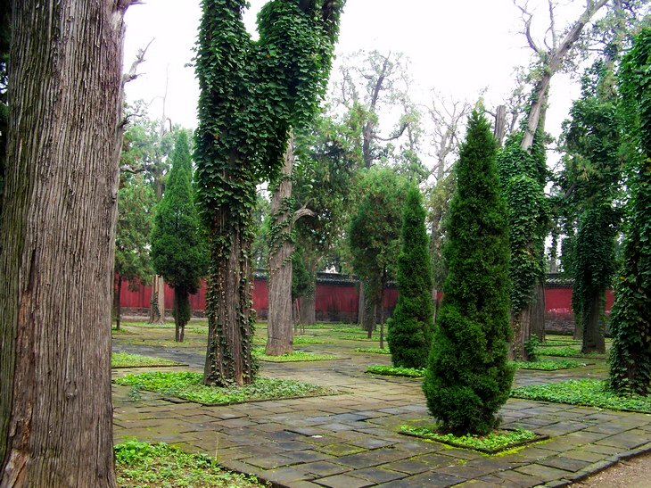 121_3849_缩小大小.JPG