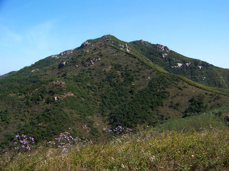 100_4042_缩小大小.JPG