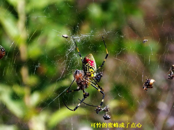 100_4067_缩小大小.JPG