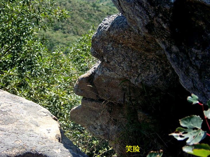 100_4075_缩小大小.jpg