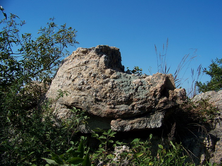 100_4086_缩小大小.JPG