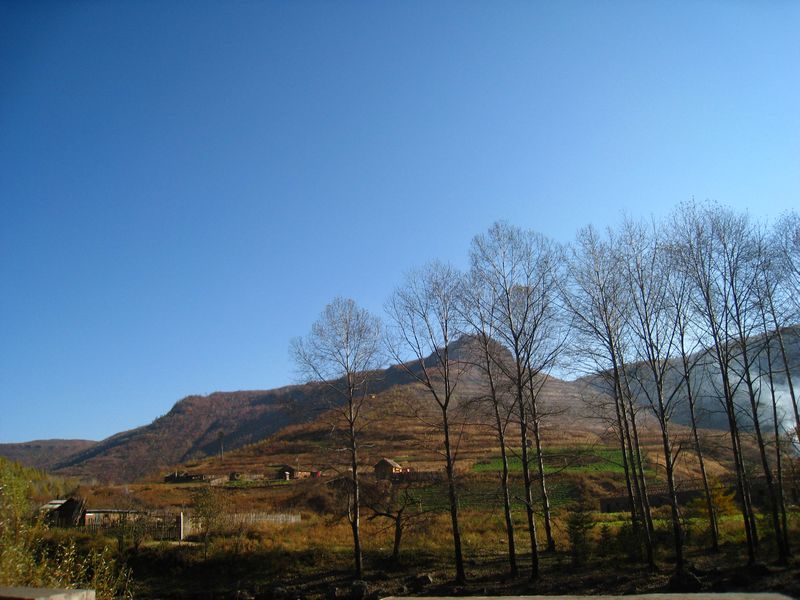 nEO_IMG_IMG_0994.jpg