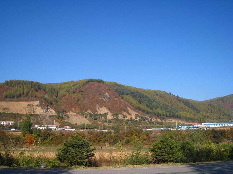 nEO_IMG_IMG_0980.jpg