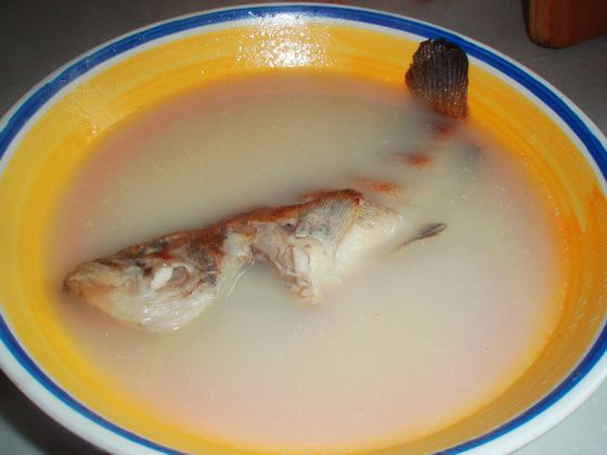P1010022.JPG
