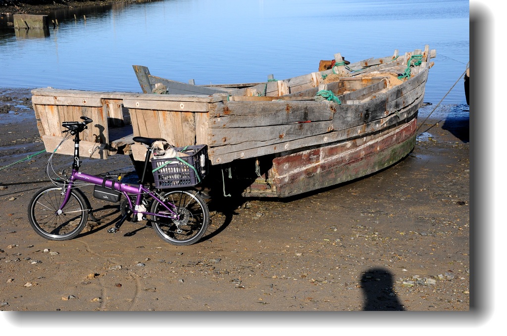 DSC_9151.jpg