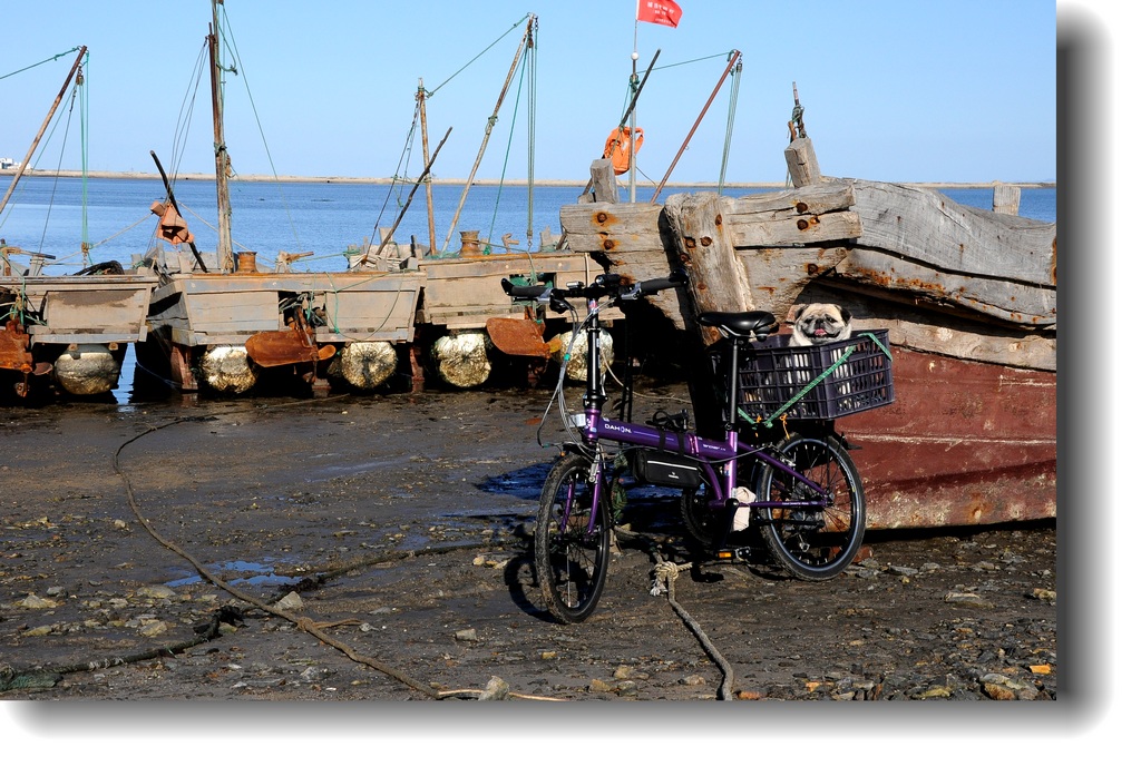 DSC_9153.jpg