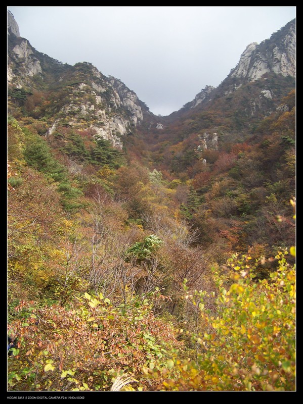 秋色11.jpg