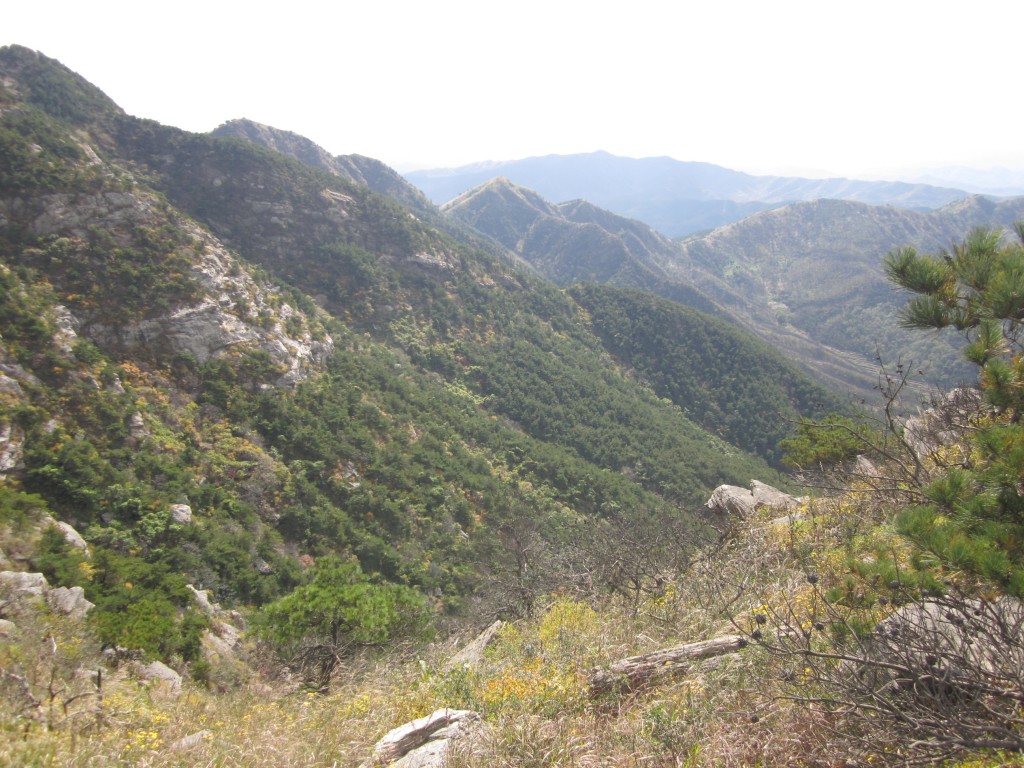 conew_img_3889.jpg