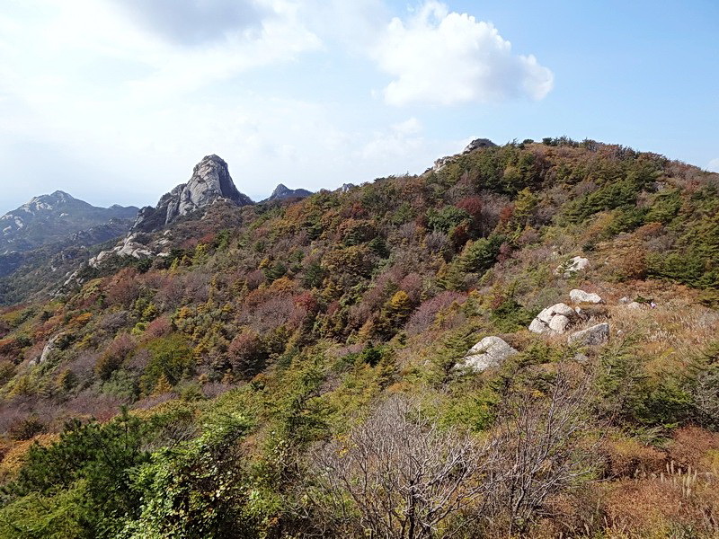DSC05677.jpg