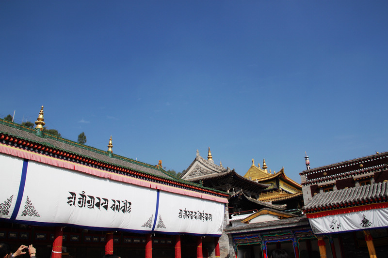 IMG_6510.JPG