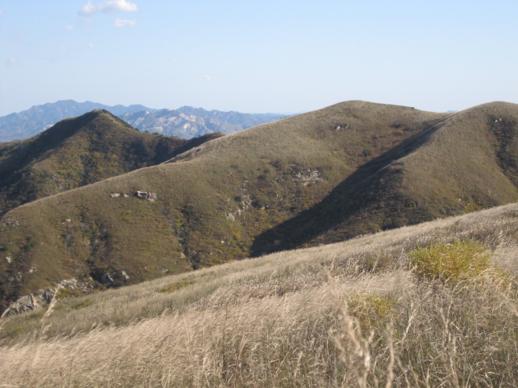conew_img_3938.jpg