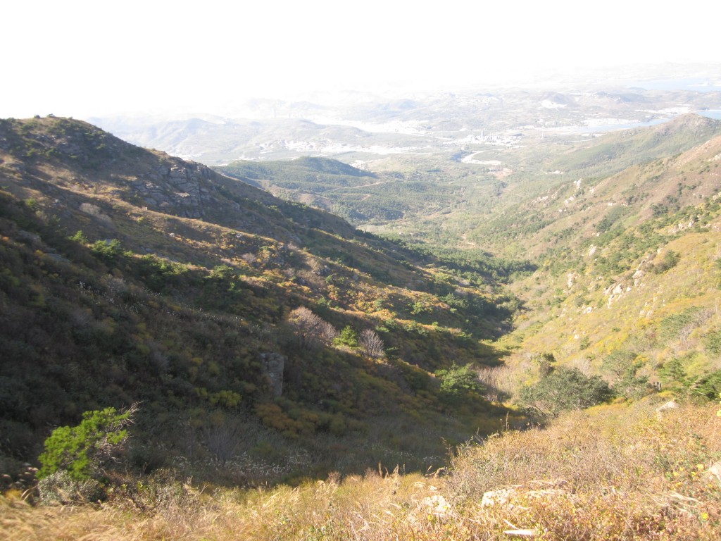 conew_img_3926.jpg