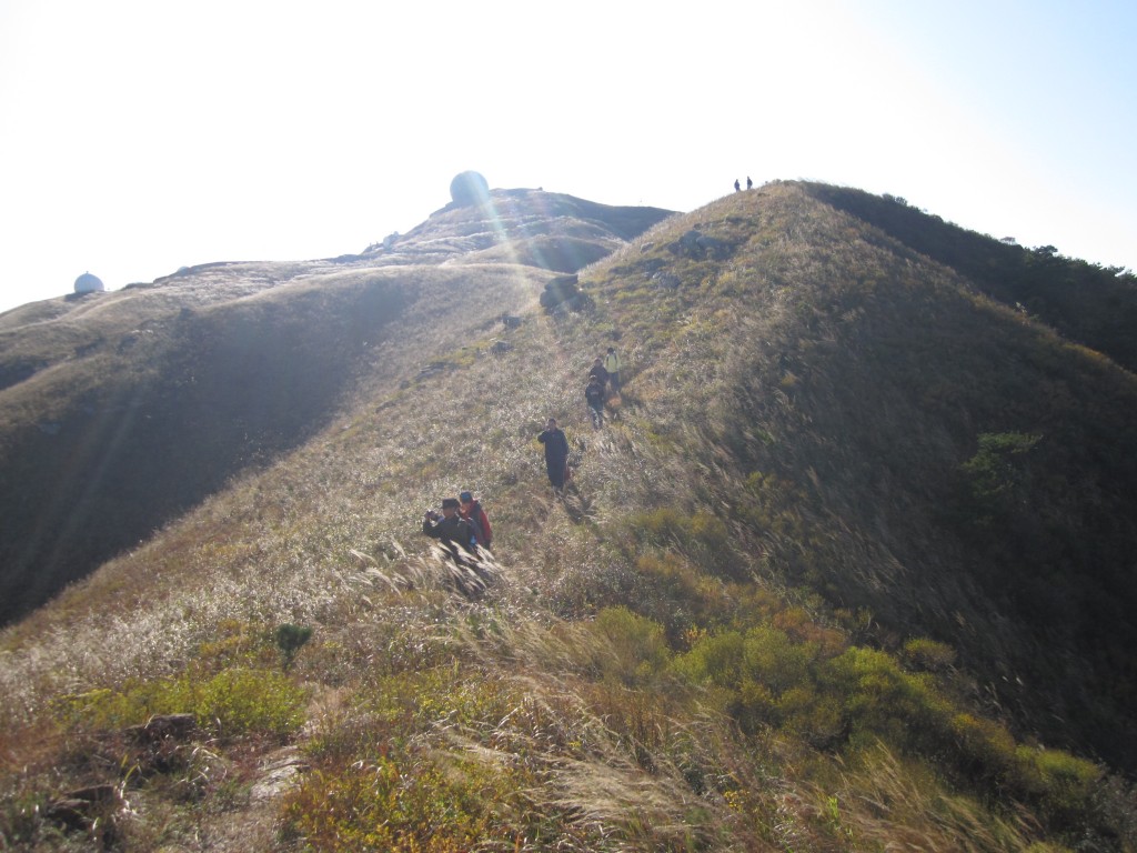 conew_img_3928.jpg