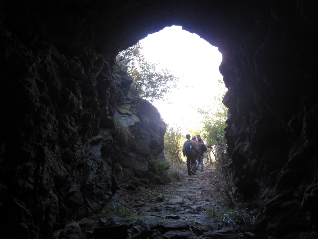 conew_img_3835.jpg