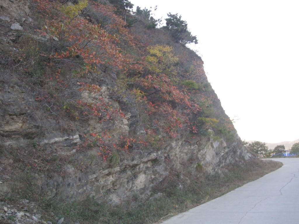 conew_img_3988.jpg