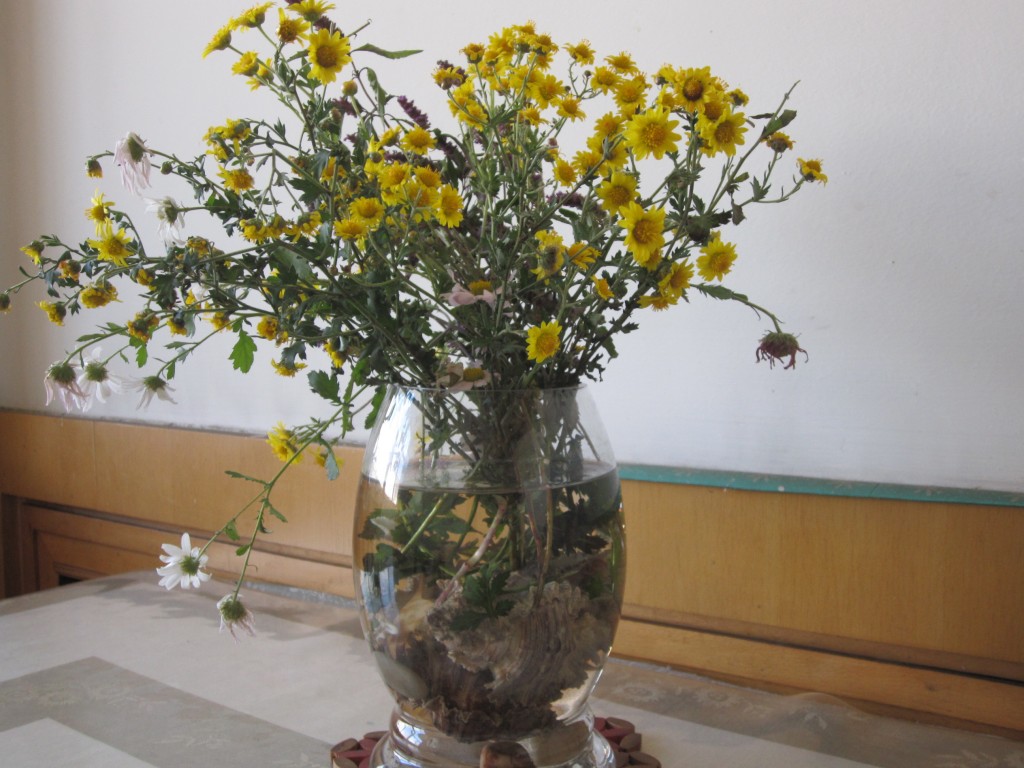 conew_img_3990.jpg