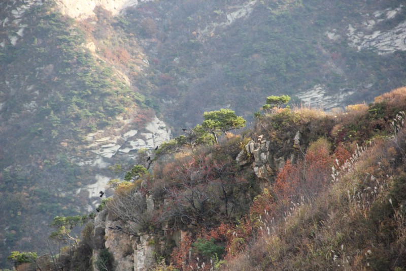 conew_img_5854[1].jpg