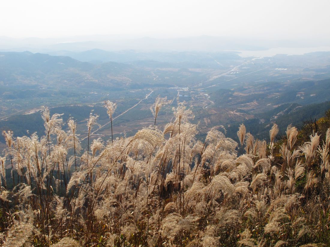 nEO_IMG_2011-10-22昆嵛山小环线 081.jpg