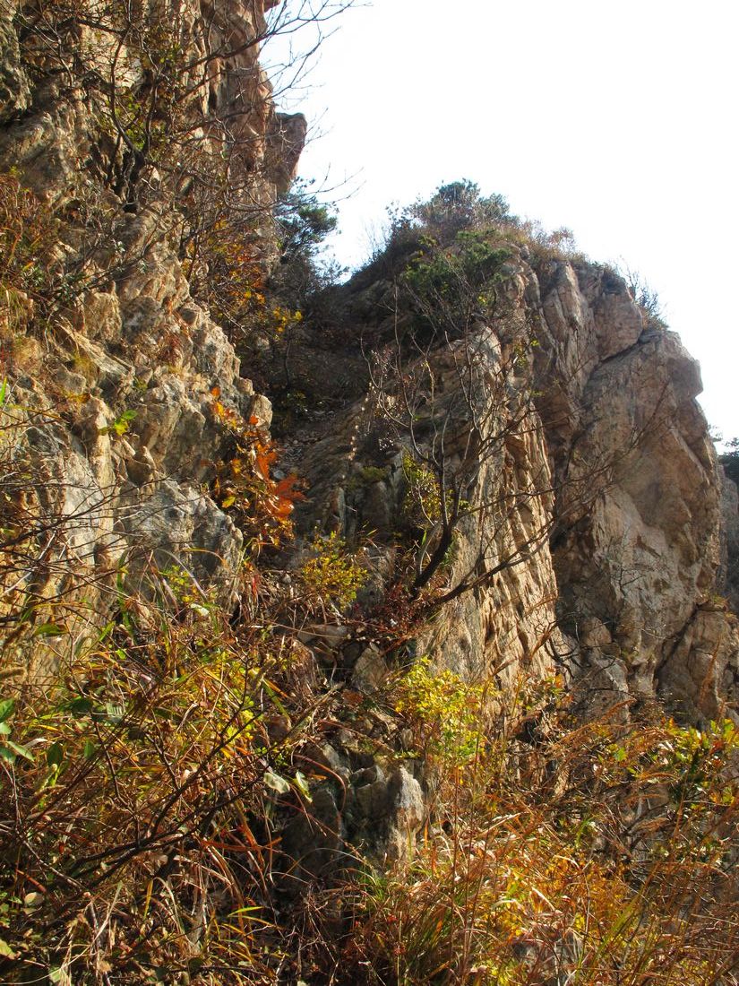 nEO_IMG_2011-10-22昆嵛山小环线 116.jpg