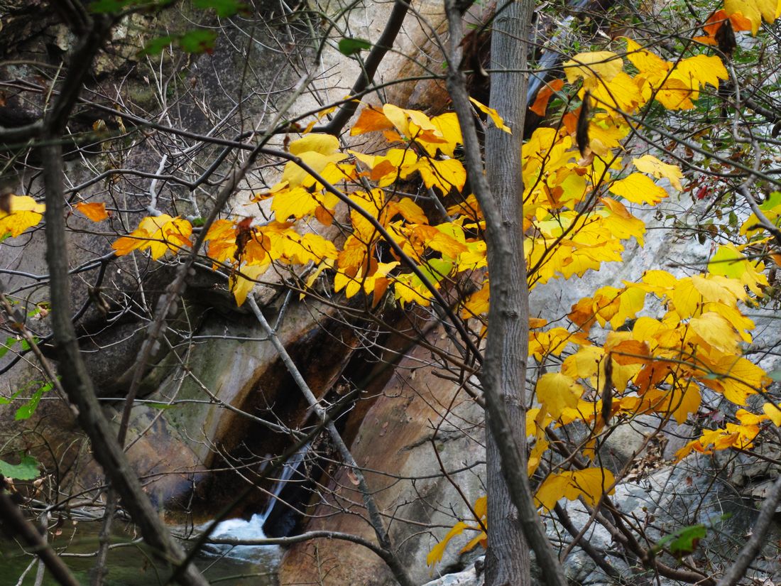nEO_IMG_2011-10-22昆嵛山小环线 130.jpg