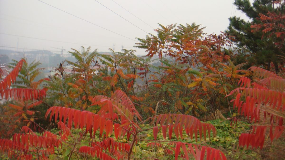 nEO_IMG_DSC06497.jpg