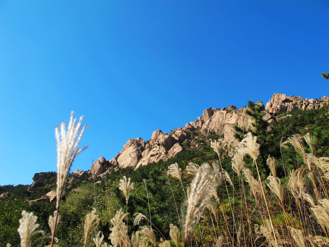 nEO_IMG_2011-10-25槎山 131.jpg