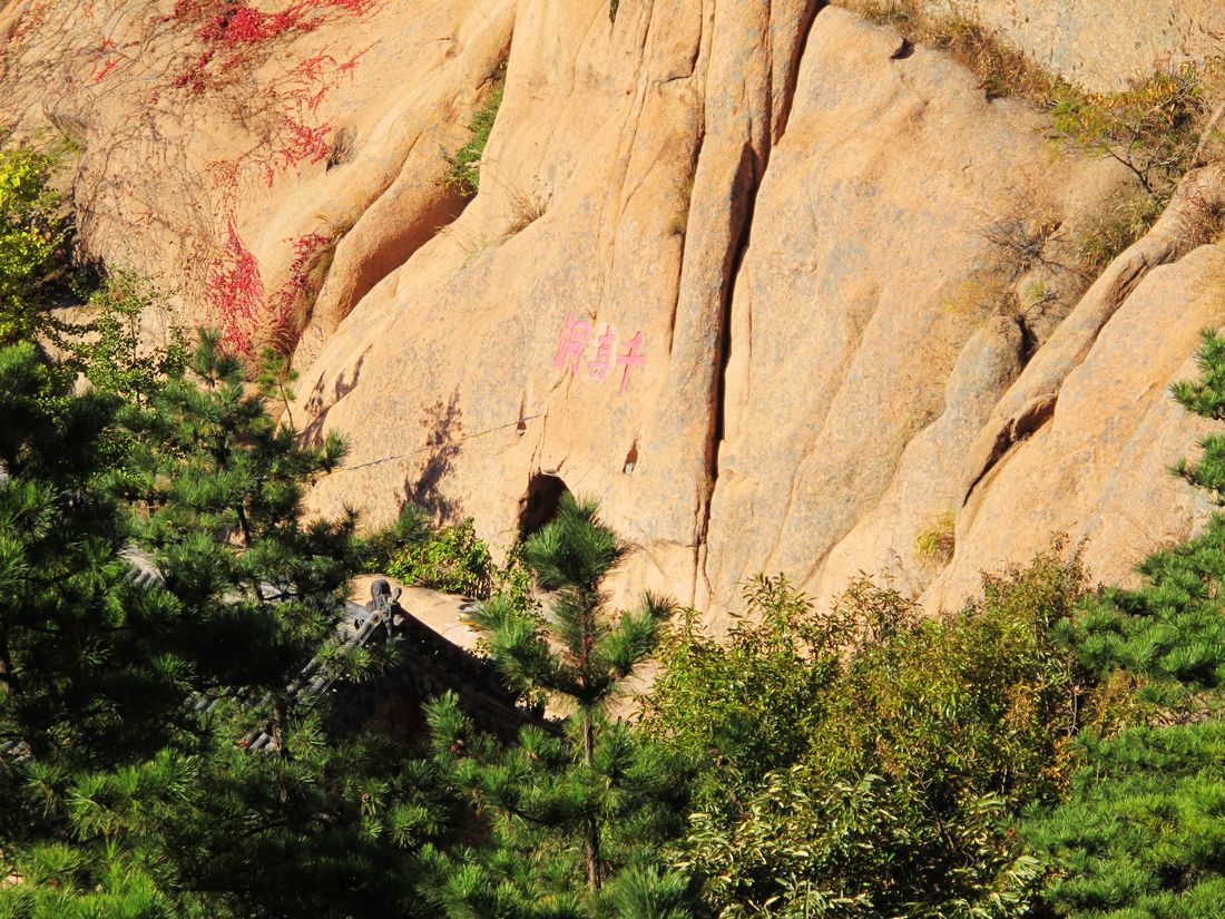 nEO_IMG_2011-10-25槎山 185.jpg