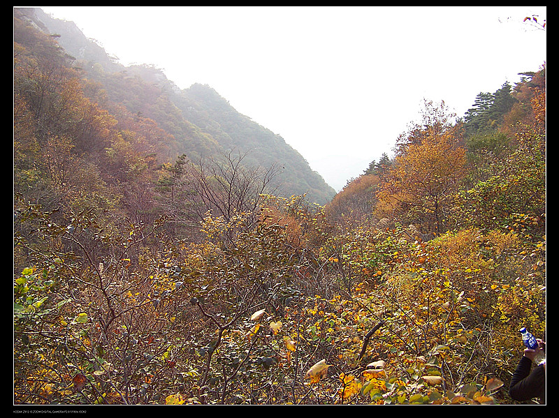 昆嵛山-孔雀石 116_副本.jpg