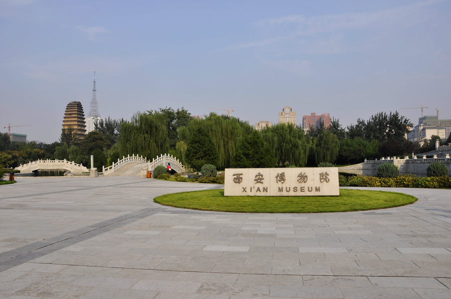 7049.jpg