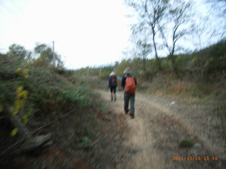 RIMG0351.JPG